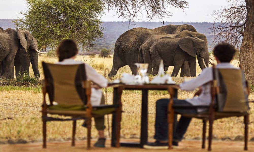 9-Day Tanzania Elegant High-End Private Honeymoon Safari