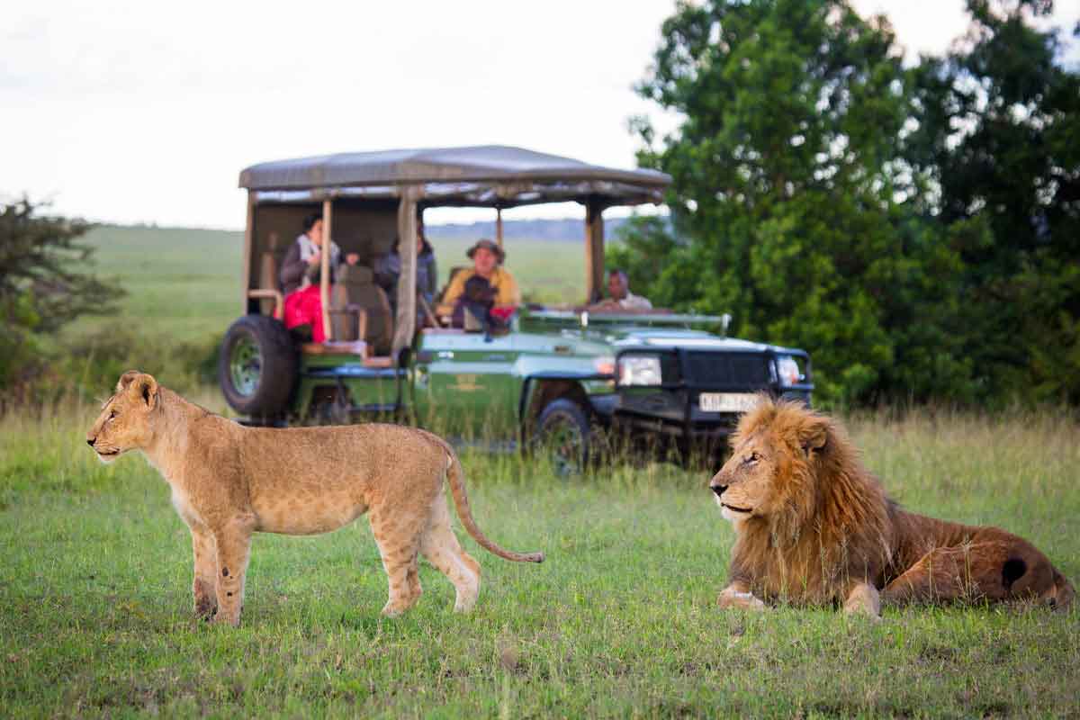 7 DAYS ULTIMATE KENYA MIDRANGE SAFARI