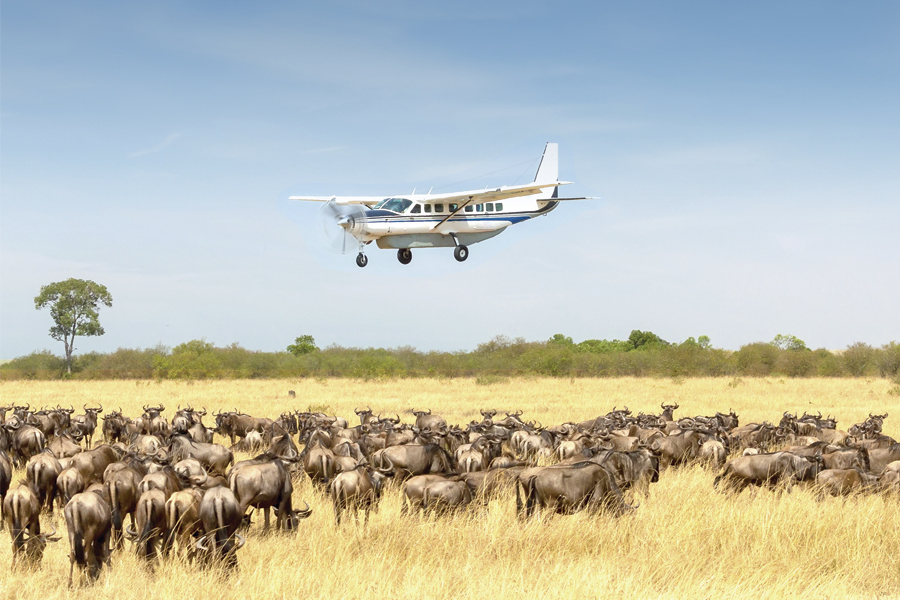 8 Days Fly-In Tanzania Safari