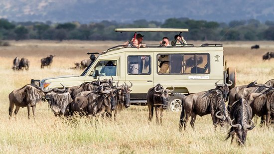 8 Days Kenya and Tanzania Safari