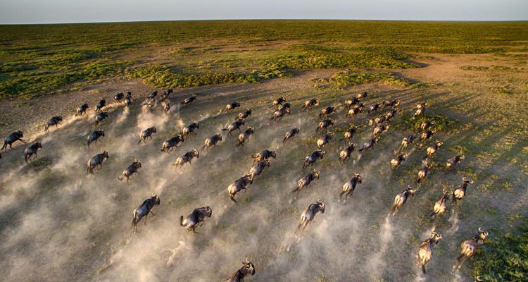 2 days 1 night Maasai mara safari