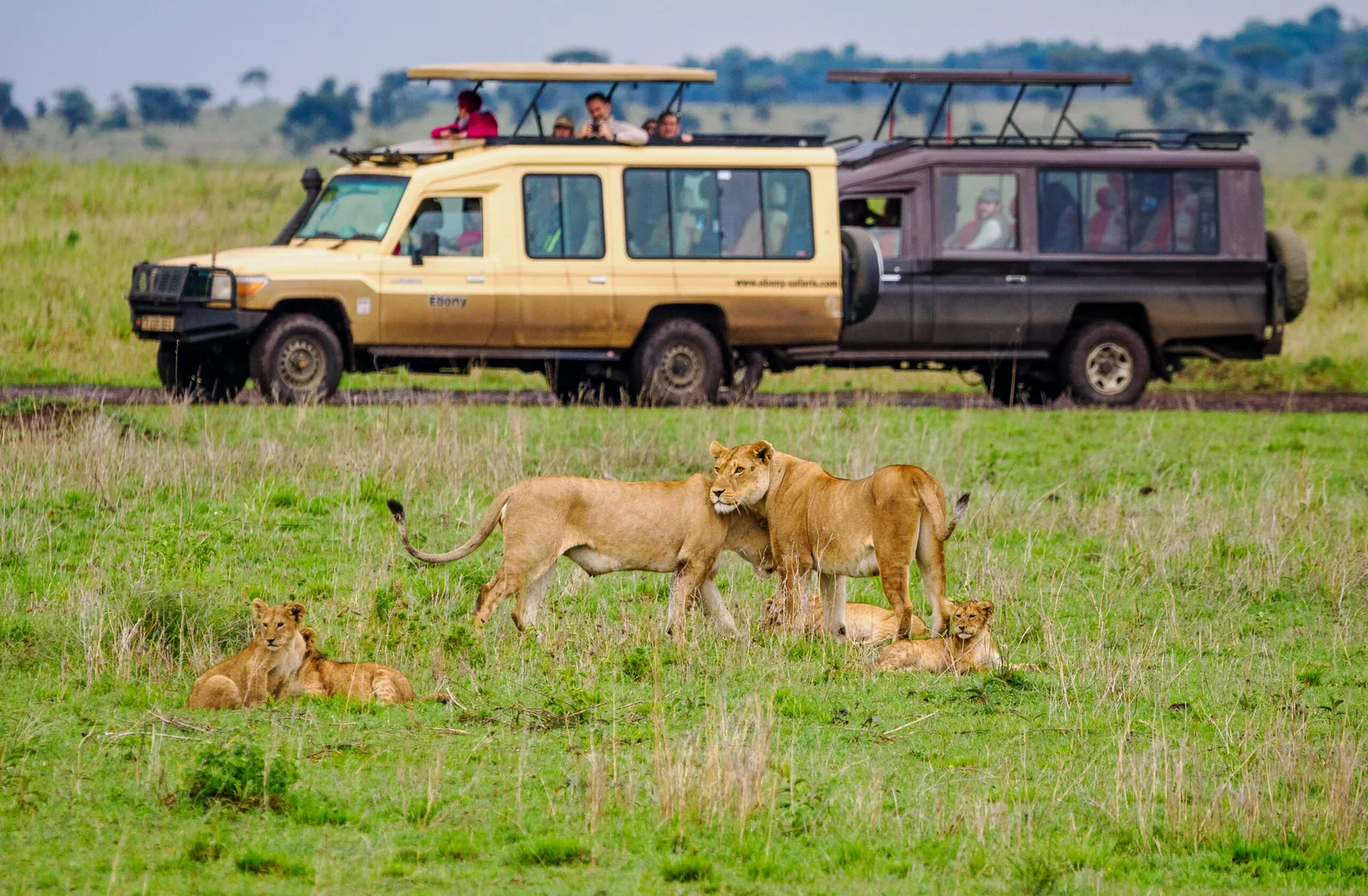 10 Day Best of Kenya Tanzania Safari