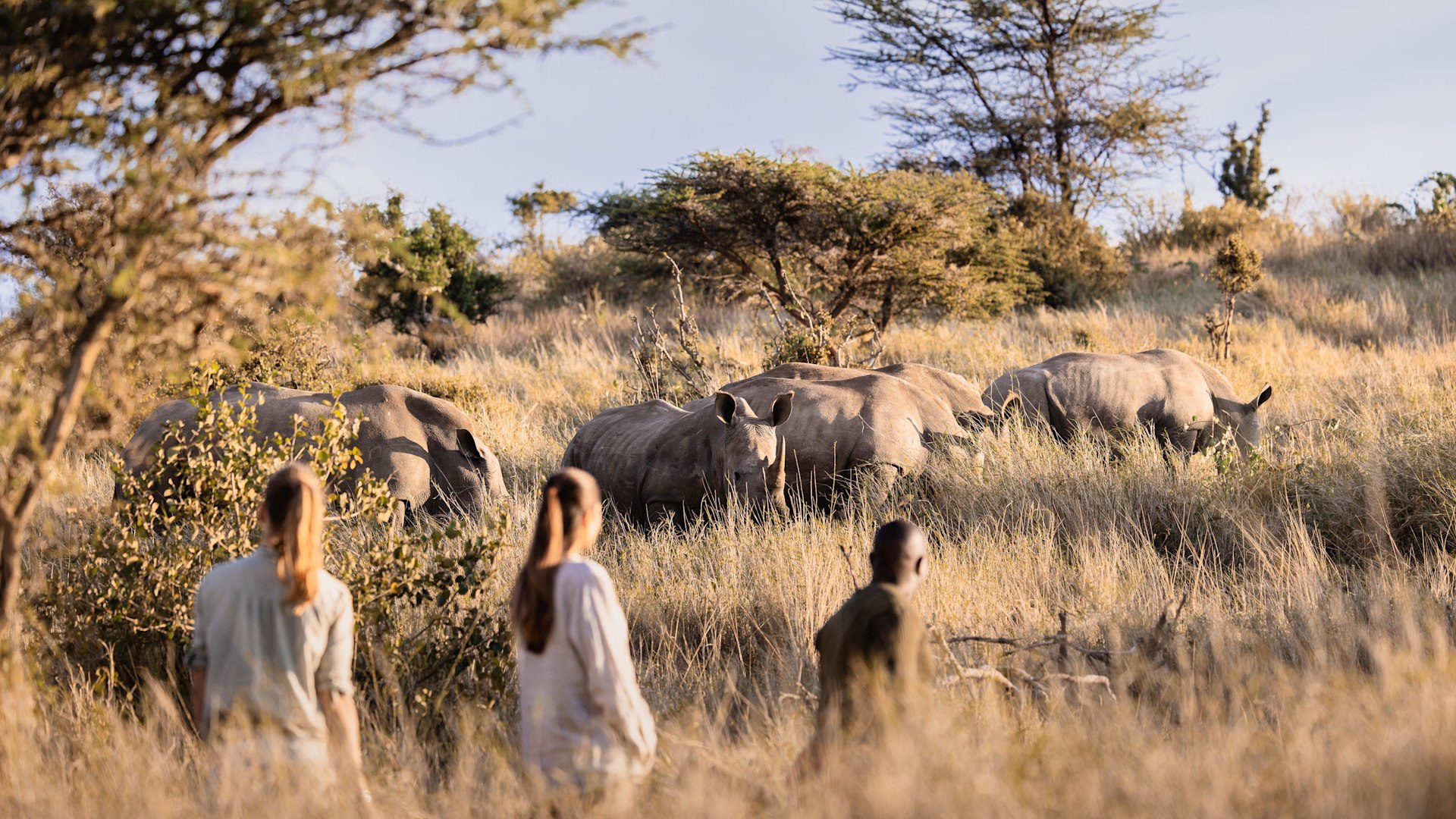 4 Days Northern Kenya Safari Lewa Conservancy